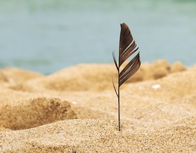 Feder im Sand, Strand, Meer