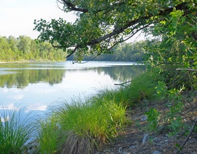 Der Donau-Oder-Kanal in der Wiener Lobau, Nationalpark Donau-Auen