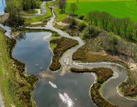 Renaturierter Bachlauf in Deutschland: grüne Wiese, Bäume und Wasser