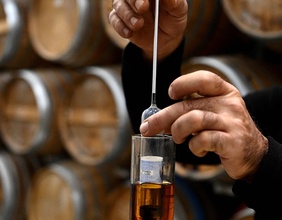 Cognacprobe in Frankreich