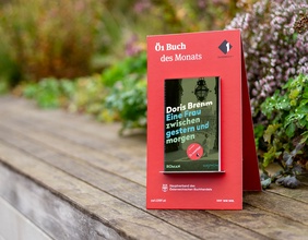 Buch des Monats, Mockup