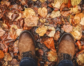 Festes Schuhwerk und nasse Herbstblätter