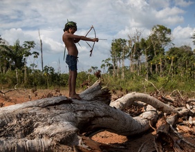 Junge Person mit Pfeil und Bogen im brasilianischen Dschungel, Amazonas