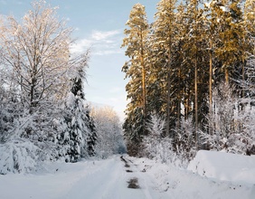 Winterlandschaft