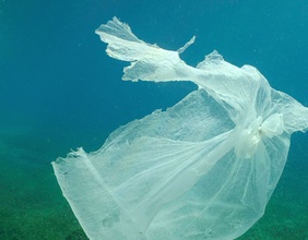 Zerrissenes Sackerl unter Wasser