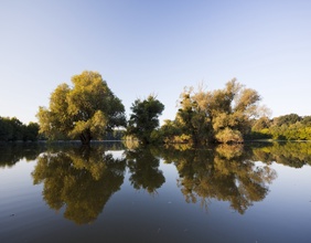 Donau-Drau Nationalpark