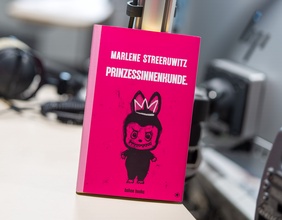 "Prinzessinnenkunde" von Marlene Streeruwitz