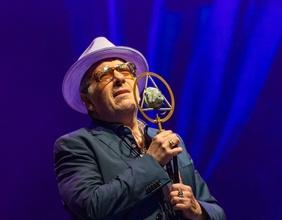 Elvis Costello