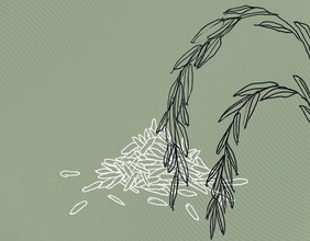 Illustration von Reis.