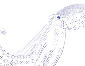 Vom Leben der Natur, Artwork