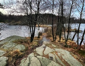 Seen in einem Wald.