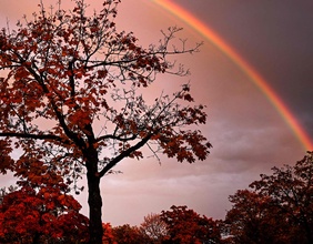 Romantischer Regenbogen