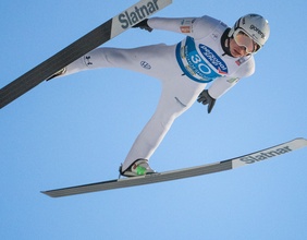 Skispringer Lanisek