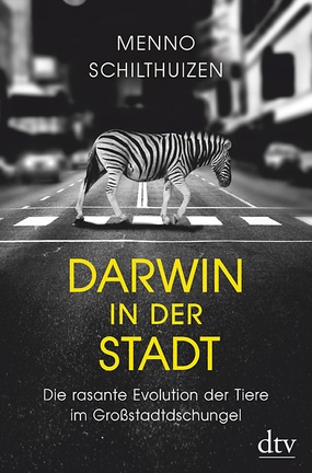 Zebra geht über Zebrastreifen