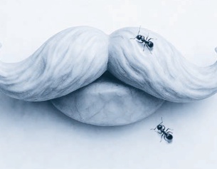 Schnurrbart einer Steinskulptur