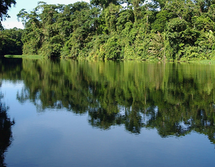 Totuguero National Park, Costa Rica