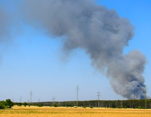 Eine hohe Rauchsäule steigt bei einem Waldbrand in St. Egyden am Steinfeld auf.