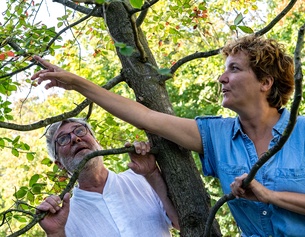 Elke Tschaikner und Christian Scheib