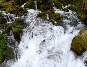 Wasser fließt in der Kläfferquelle in Wildalpen