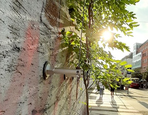 Wien setzt im Kampf gegen urbane Hitze auch auf begrünte Fassaden, die als natürliche Klimaanlagen wirken.