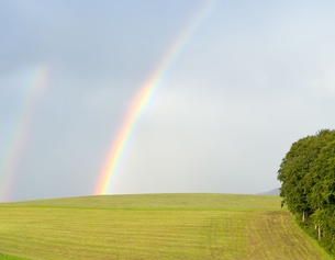 Regenbogen