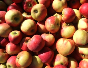 Äpfel