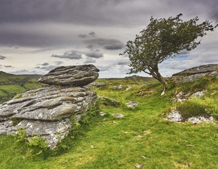PICTUREDESK.COM/ROBERTHARDING/NIGEL HICKS Landschaft in Dartmoor