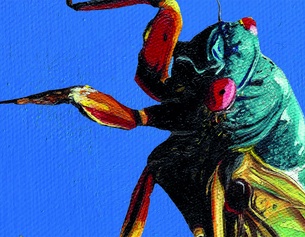 Isabella Breier: "Kosmo" - Ausschnitt des Buchumschlags