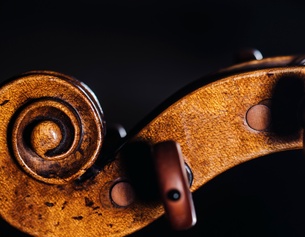 Schnecke einer Violine