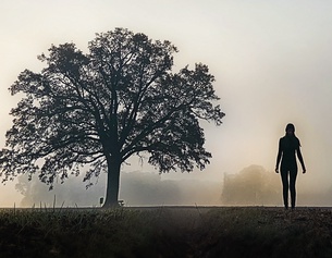 VIOLA HAMMER Eine Frau neben einem Baum