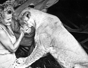 ORF/BBC Joy Adamson und Löwin Elsa