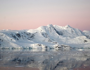 APA/AFP/Johan ORDONEZ Antarktis