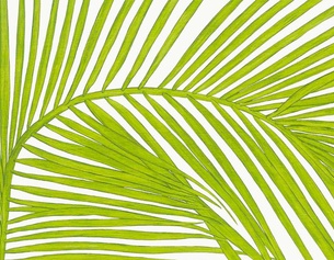 Ausschnitt des Buchumschlags, "Umwege. Essays für schwieriges Terrain" von Rebecca Solnit