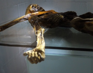 "Ötzi" in der Kältekammer