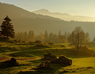 Landschaft in Vorarlberg