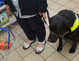 Frau mit Sehbehinderung und Blindenhund im Supermarkt
