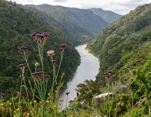 PICTUREDESK.COM/DPA PICTURE ALLIANCE/IMAGODENS Whanganui River