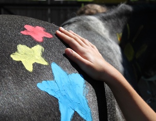 VEREIN E.MOTION Hand auf einem Pferd