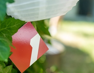 ORF/URSULA HUMMEL-BERGER Papierlampion und Ö1 Logo