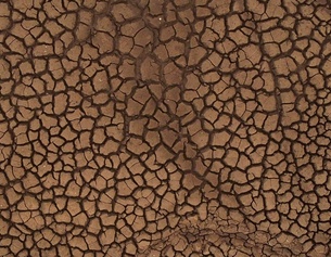 Dürre: ausgetrockneter Boden