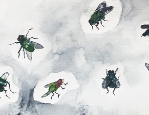 Illustration von Fliegen