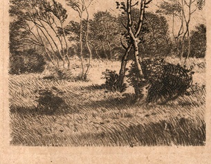 Xaver Bayer, "Hauch" (Ausschnitt des Buchumschlags)