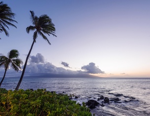 Sonnenuntergang auf Hawaii mit Silhouetten von Palmen