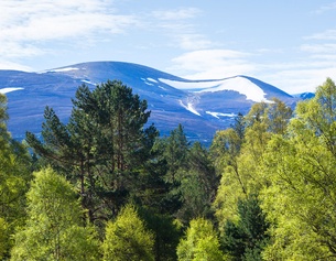 PICTUREDESK.COM/FRANZ PRITZ Blick auf die Cairngorm Mountains