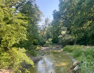 Nationalpark in Österreich: Bachlandschaft