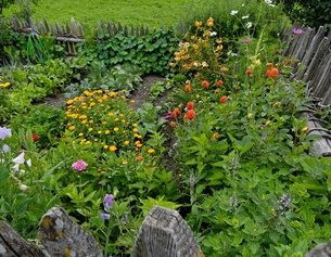 Bauerngarten/Gemüsegarten im Pustertal, Südtirol, Italien