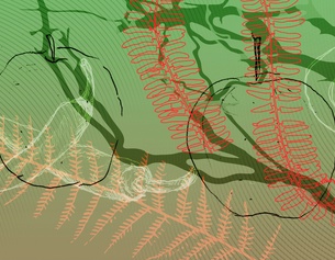 ISABELLE ORSINI UND ROSENBERG Pflanzengrafik