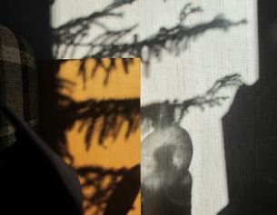 Schattenspiele; Bild aus dem Fotoband "Triesterstraße 84/VII"
