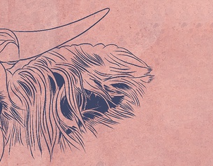 "Die Ablenkung" von Elena Messner, Ausschnitt des Buchumschlags