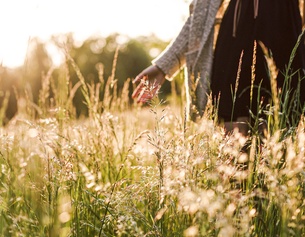 Frau streicht durch eine hohe Blumenwiese